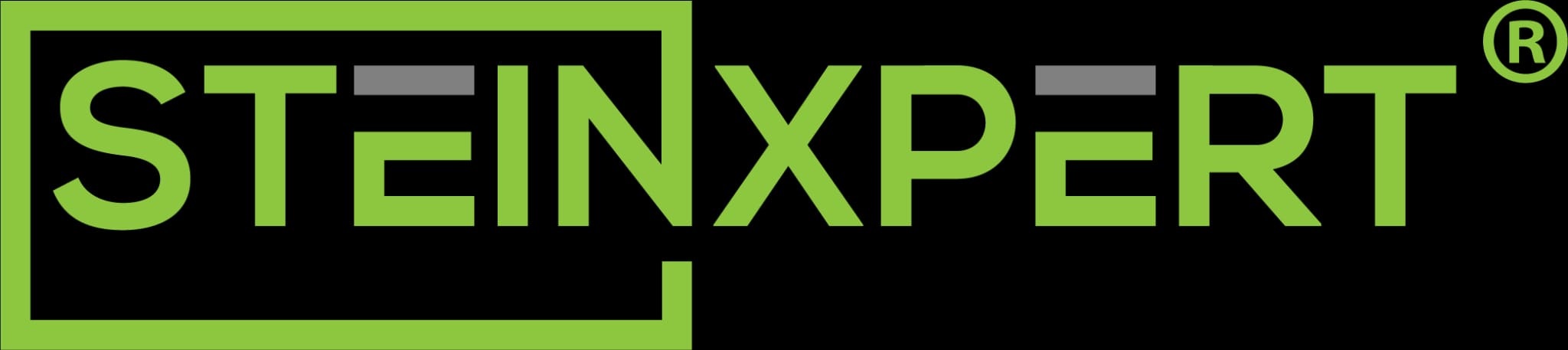 SteinXpert Logo